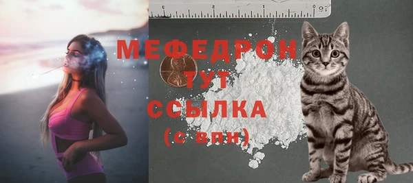 шишки Абаза