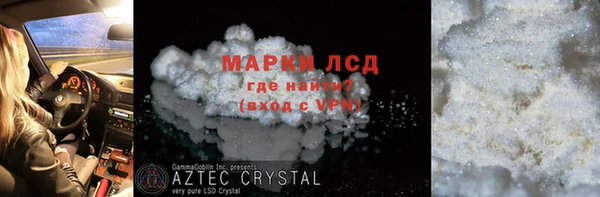 шишки Абаза
