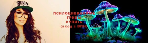 Альфа ПВП Пролетарск