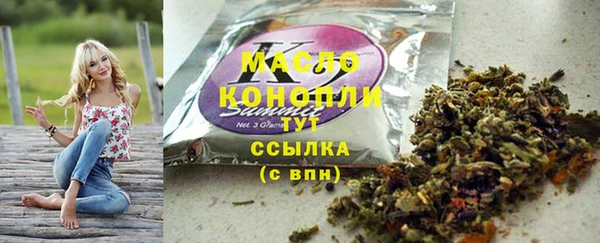 шишки Абаза