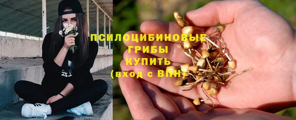 Альфа ПВП Пролетарск