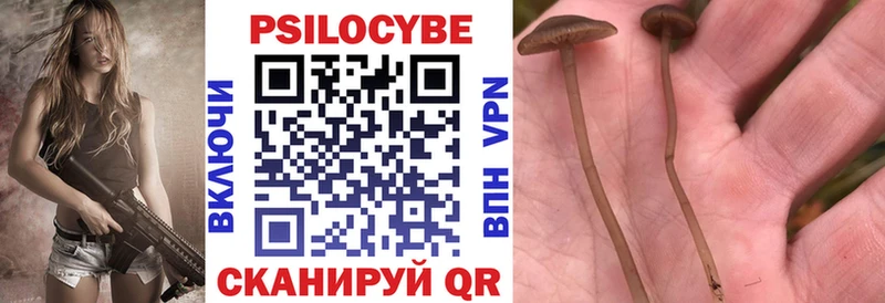 Галлюциногенные грибы Cubensis  Галич 